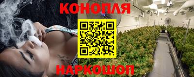 герыч Будённовск