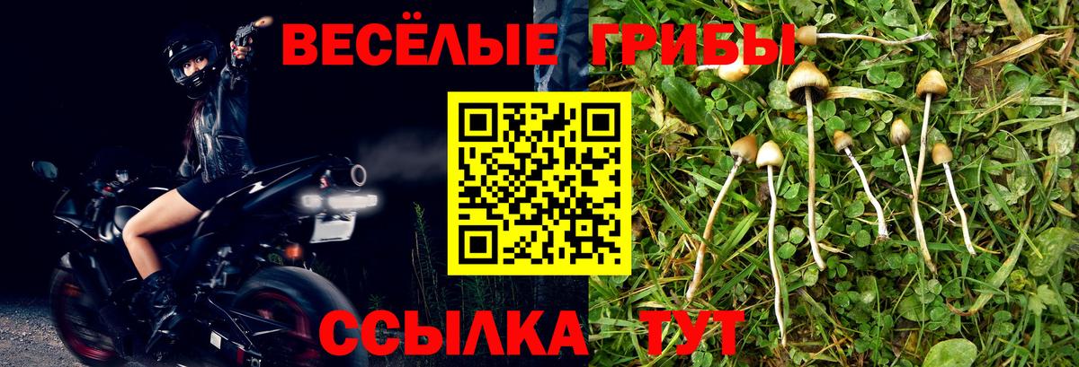 Подольск  Галлюциногенные грибы Magic Shrooms  Вход с VPN 